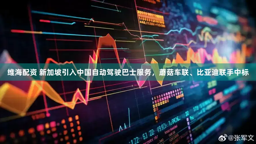 维海配资 新加坡引入中国自动驾驶巴士服务，蘑菇车联、比亚迪联手中标