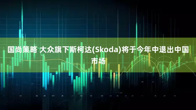 国尚策略 大众旗下斯柯达(Skoda)将于今年中退出中国市场